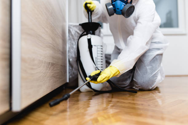 Best Affordable Pest Control Services  in Pardeeville, WI