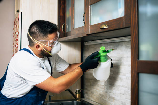 Best Pest Removal Services  in Pardeeville, WI