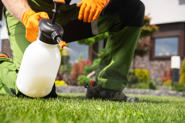 Best Bed Bug Extermination  in Pardeeville, WI