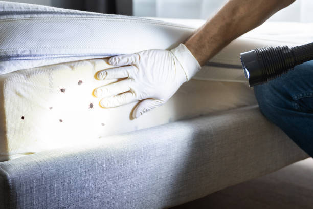 Best Exterminator Services  in Pardeeville, WI
