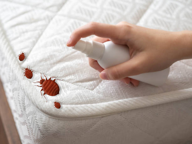 Best Cockroach Control Services  in Pardeeville, WI