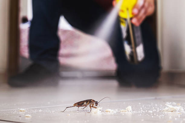 Best Pest Control Near Me  in Pardeeville, WI