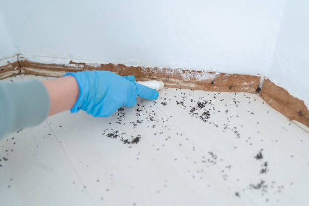 Best Affordable Pest Control Services  in Pardeeville, WI